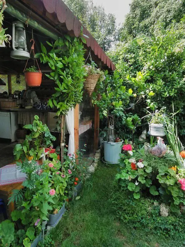 Вила Карина 0*, וארנה